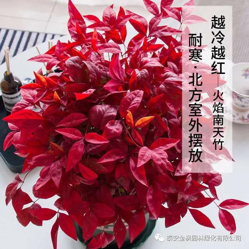 糧食烘干機(jī)